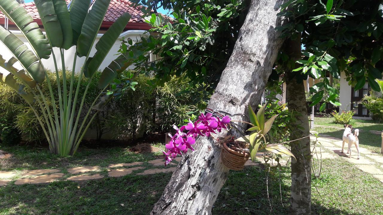 Lanka Beach Grand Villa Rekawa Ngoại thất bức ảnh